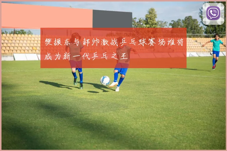 樊振东与郝帅激战乒乓球赛场谁将成为新一代乒乓之王