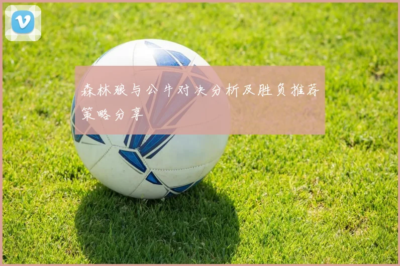 森林狼与公牛对决分析及胜负推荐策略分享