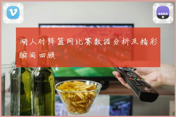 湖人对阵篮网比赛数据分析及精彩瞬间回顾