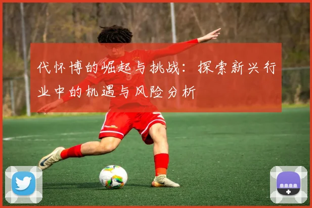 代怀博的崛起与挑战：探索新兴行业中的机遇与风险分析