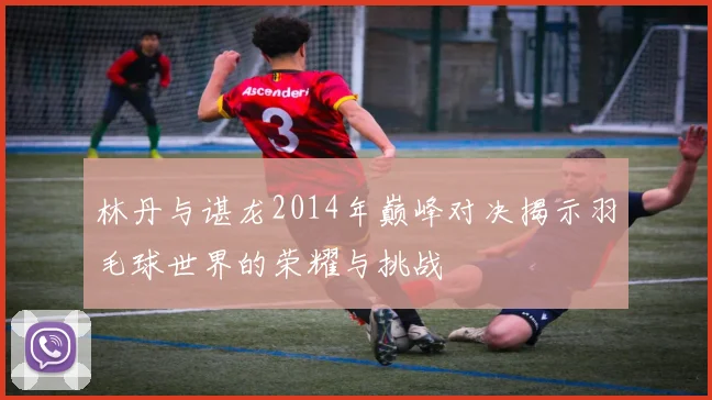 林丹与谌龙2014年巅峰对决揭示羽毛球世界的荣耀与挑战