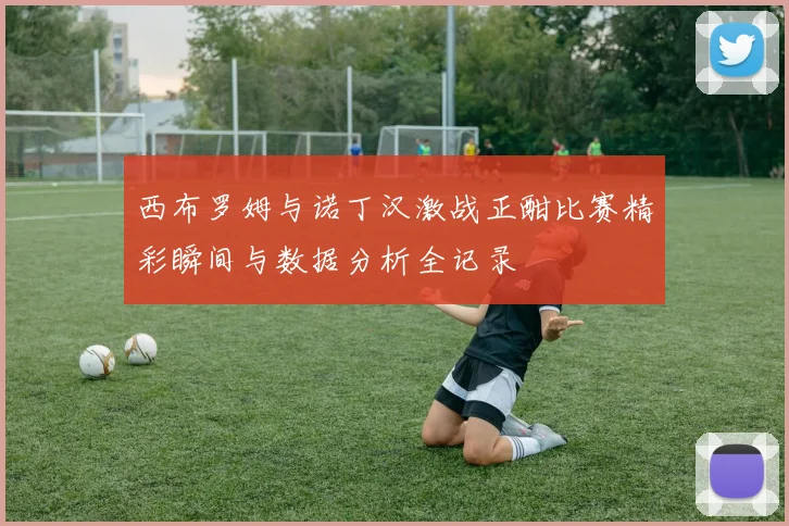 西布罗姆与诺丁汉激战正酣比赛精彩瞬间与数据分析全记录