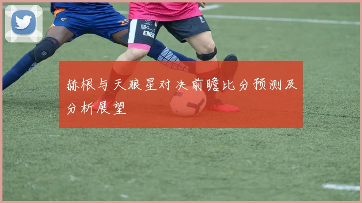 赫根与天狼星对决前瞻比分预测及分析展望