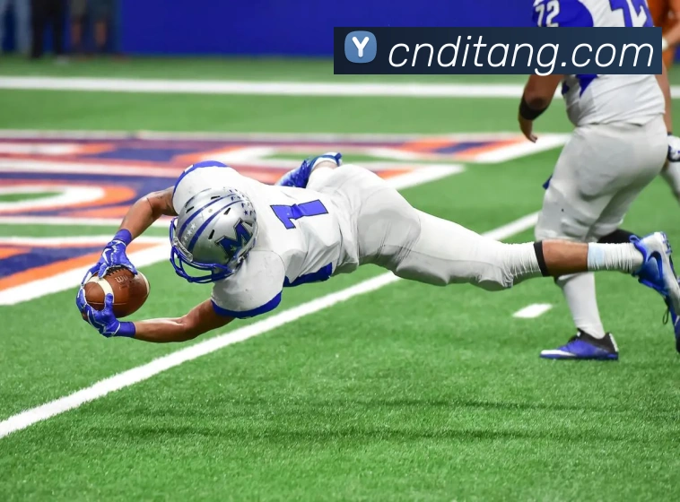 火博体育平台生态图