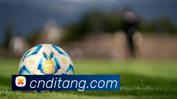 火博体育APP 封面图